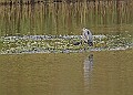 251009PENSOCT00245A
