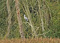 251009PENSOCT00261A