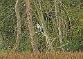 251009PENSOCT00264A