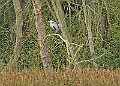 251009PENSOCT00265A