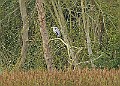 251009PENSOCT00267A