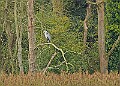 251009PENSOCT00274A