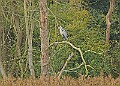 251009PENSOCT00275A