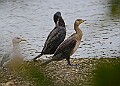 251009PENSOCT00277A