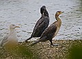 251009PENSOCT00279A