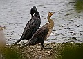251009PENSOCT00283A
