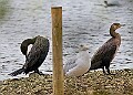 251009PENSOCT00284A