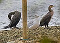 251009PENSOCT00285A