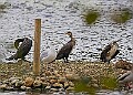 251009PENSOCT00287A
