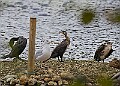 251009PENSOCT00291A