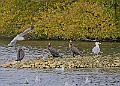 251009PENSOCT00301A