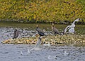 251009PENSOCT00303A