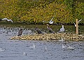 251009PENSOCT00304A