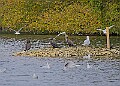 251009PENSOCT00306A