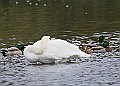 251009PENSOCT00313A