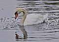 251009PENSOCT00343A