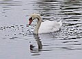 251009PENSOCT00345A