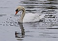 251009PENSOCT00346A