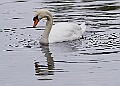 251009PENSOCT00347A