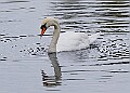 251009PENSOCT00348A