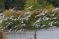 251009PENSOCT00352A