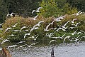 251009PENSOCT00353A