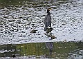 251009PENSOCT00355A