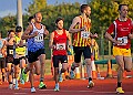 20260718 RYSN5K00432A