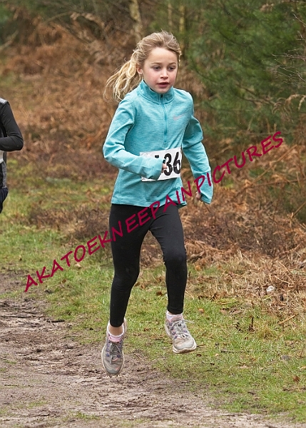 20230115RRXCJANA0036A.JPG