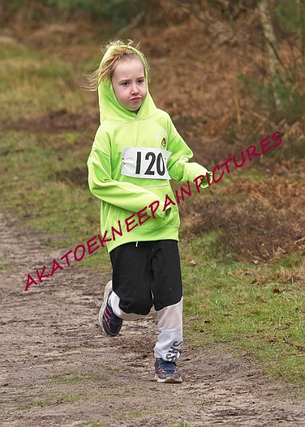 20230115RRXCJANA0107A.JPG