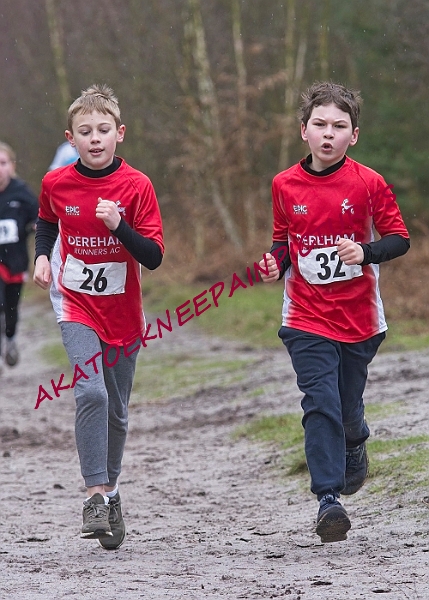 20230115RRXCJANA0137A.JPG