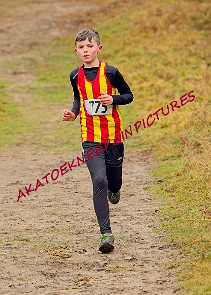 240114RRXCJANA0237A.JPG