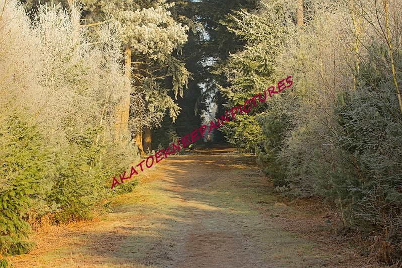 20250112RRXCJANA00001A.JPG