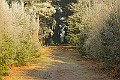 20250112RRXCJANA00001A
