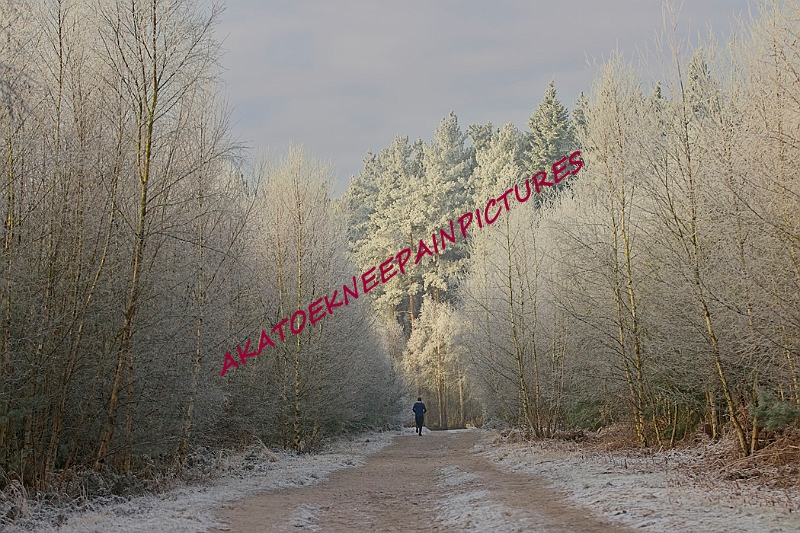 20250112RRXCJANA00114A.JPG