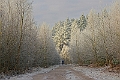 20250112RRXCJANA00114A