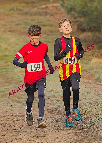 20250112RRXCJANA00271A.JPG