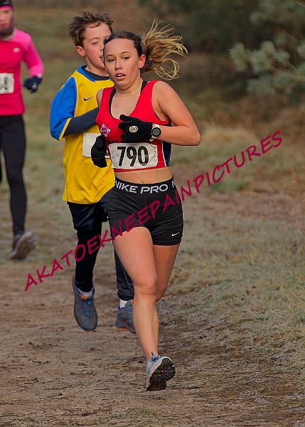 20250112RRXCJANA00276A.JPG
