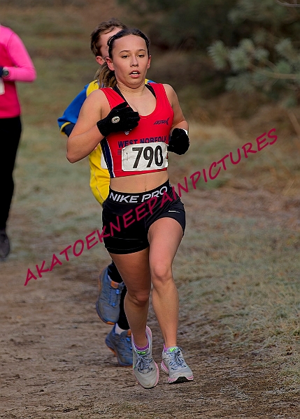 20250112RRXCJANA00278A.JPG