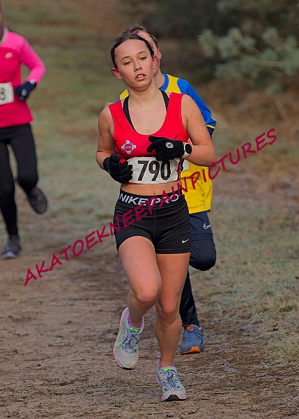 20250112RRXCJANA00280A.JPG