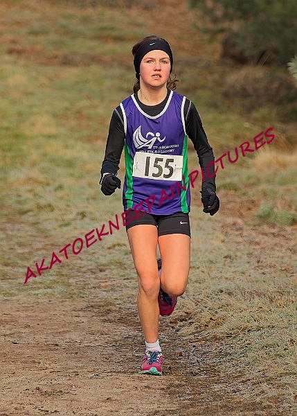 20250112RRXCJANA00294A.JPG