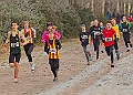 20250112RRXCJANA00254A