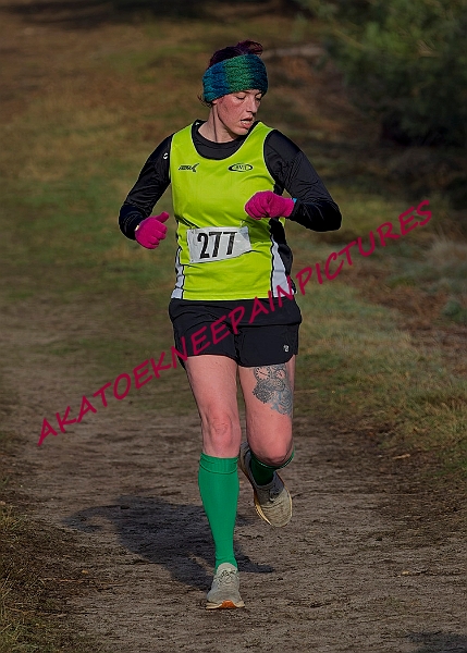 20250112RRXCJANB00186A.jpg