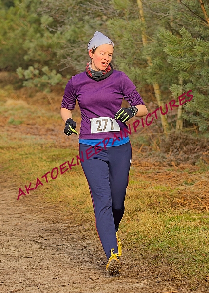 20250112RRXCJANB00344A.jpg