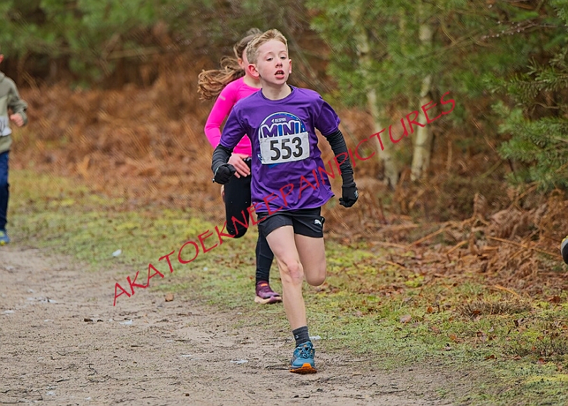 20260111 RRXCJANA 00002A.JPG