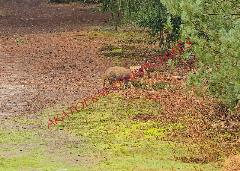 20260111 RRXCJANB00035A.JPG