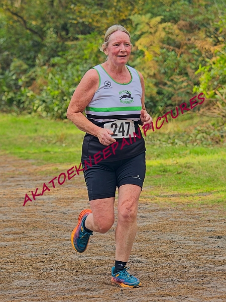20241103RRXCDECD00308A.JPG