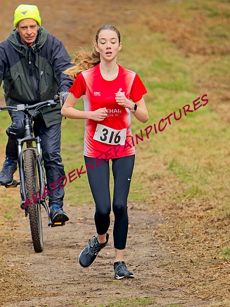 20241103RRXCDECB00139A.JPG