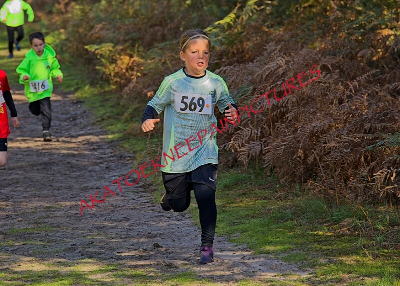 20261011 RRXCOCTA00055A.jpg