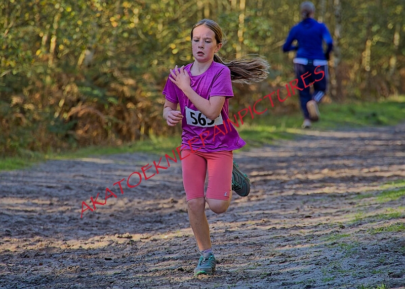20261011 RRXCOCTA00150A.jpg